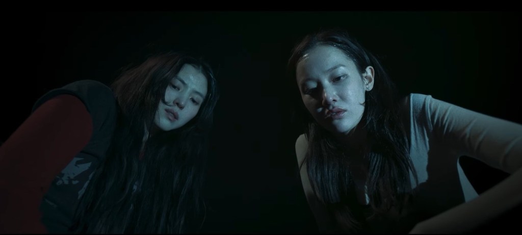 Project Y - TIFF 2025