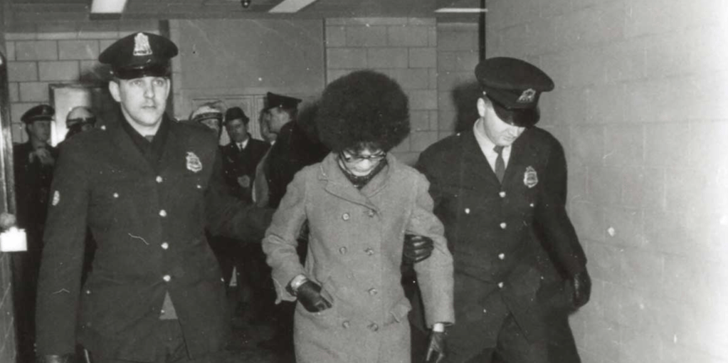 True North - 2025 Toronto International Film Festival