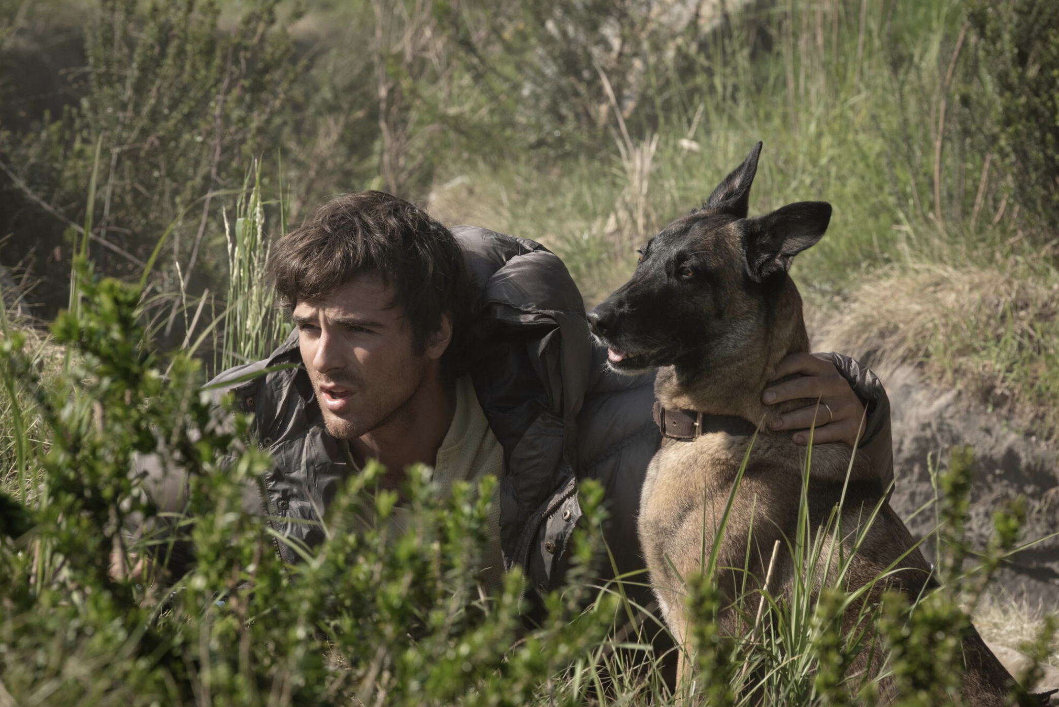 In ‘The Dog Stars’ It’s the End of the World as We Know It, and I Feel (Mostly) Fine – Review
