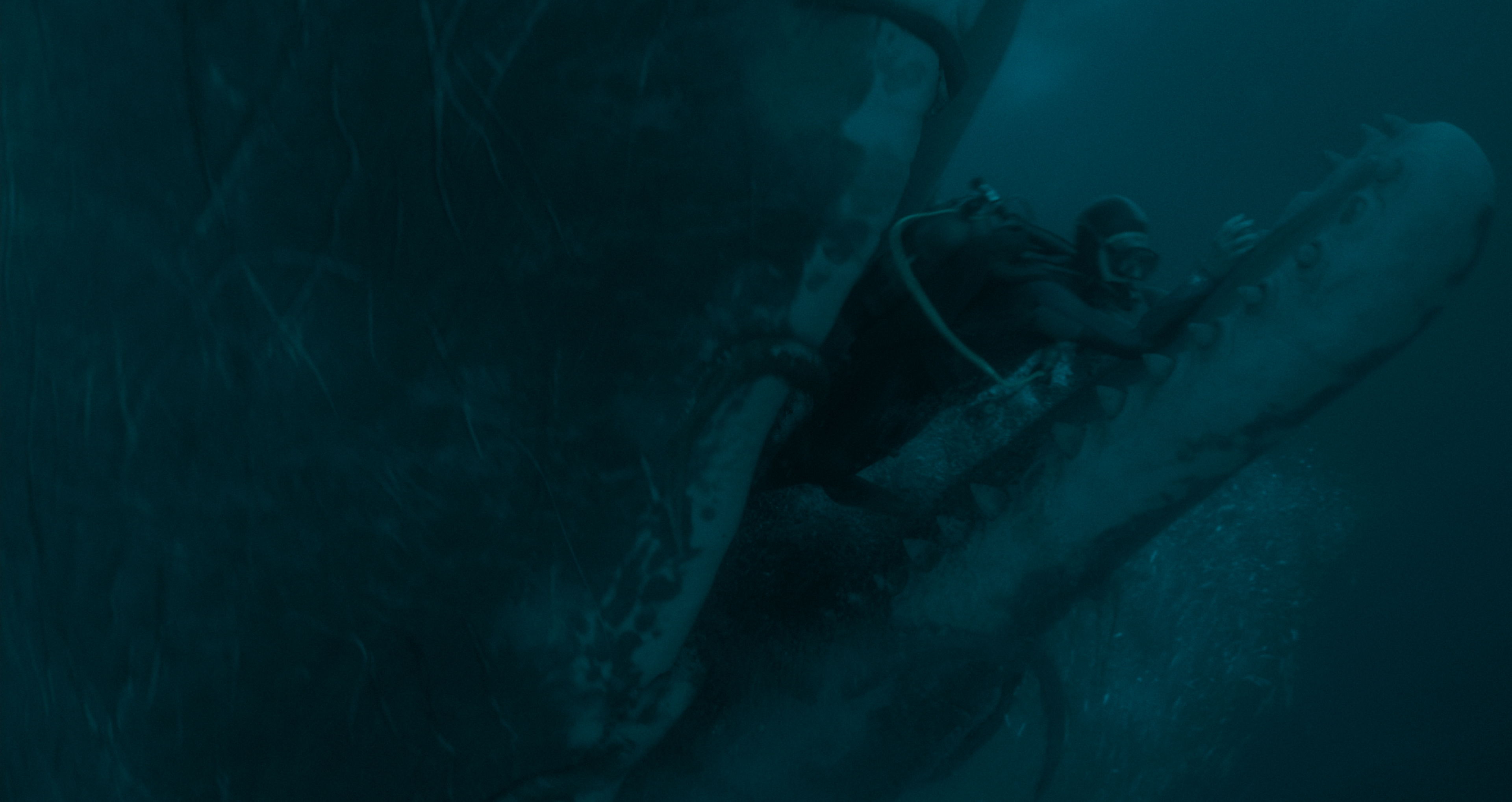 ‘Whalefall’ Is Much More Than Your Typical Creature Feature –&nbsp;Review